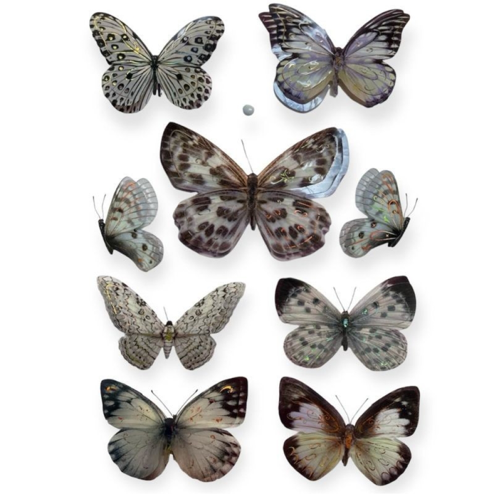  Stickere pentru perete Fluturi multicolor, 50 x 35 cm, Engros