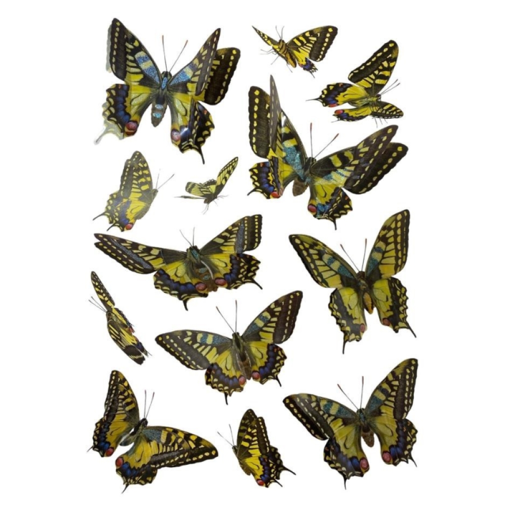 Stickere Decorative de perete 3D Cu Fluturi, 50 x 35 cm, Diverse modele - Engros
