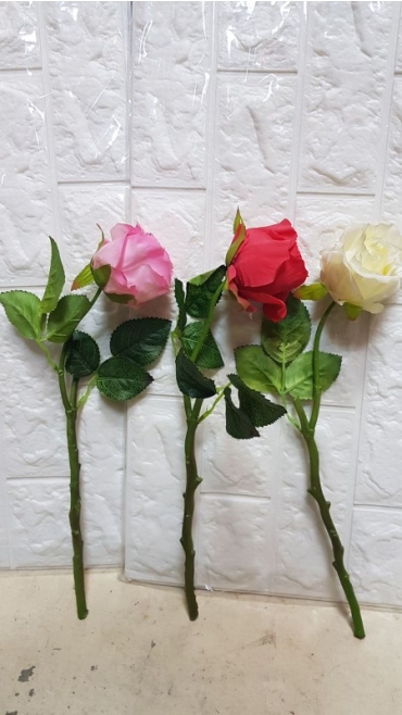 trandafiri mici 10/set