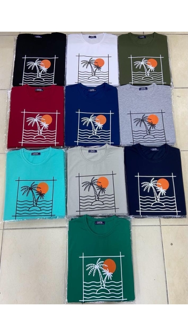 tricou barbati 5/set