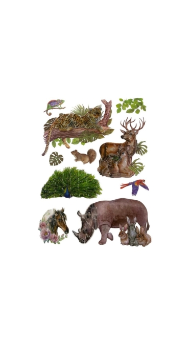 Stickere Decorative copii de perete Animale 3D, 40 x 30 cm, Diverse modele - Engros