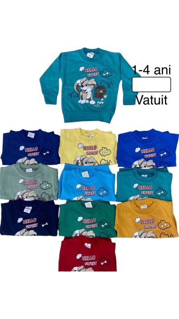 bluza baieti vatuita 1-4 ani 4/set