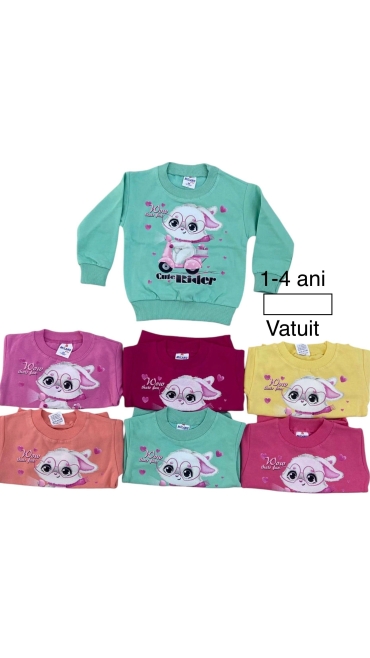 bluza fete vatuita 1-4 ani 4/set