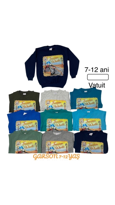 bluza baieti vatuita 7-12 ani 5/set