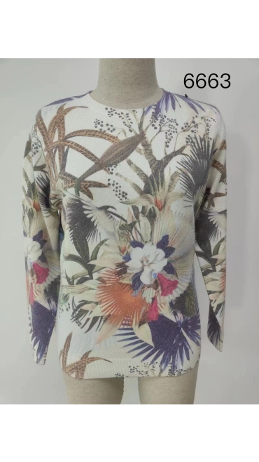 bluza dama 5/set