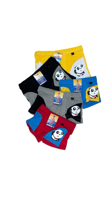 boxeri baieti bbc 98-156 culori combinate 12/set