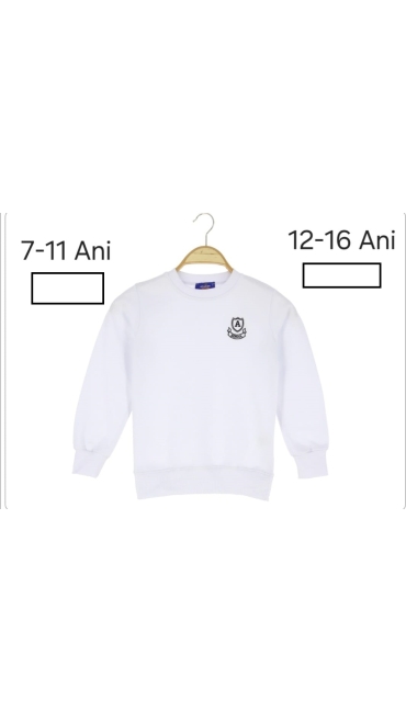bluza baieti 12-16 ani 5/set