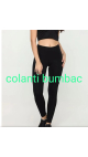 colanti dama bumbac 4/set