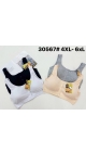 bustiera dama 4xl-6xl 12/set