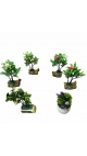 bonsai 4/set